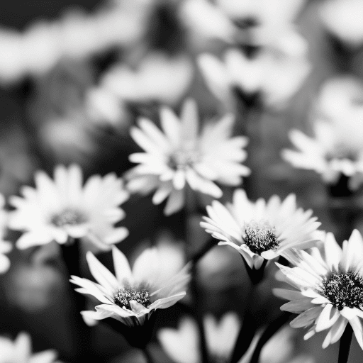 An image showcasing a vibrant bouquet of flowers blooming from a grayscale background, symbolizing personal growth and self-expression